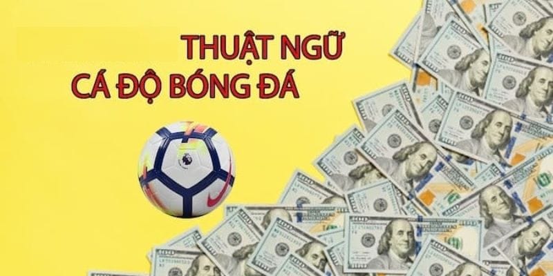 tim-hieu-ve-cac-thuat-ngu-ca-ca-cuoc-bong-da