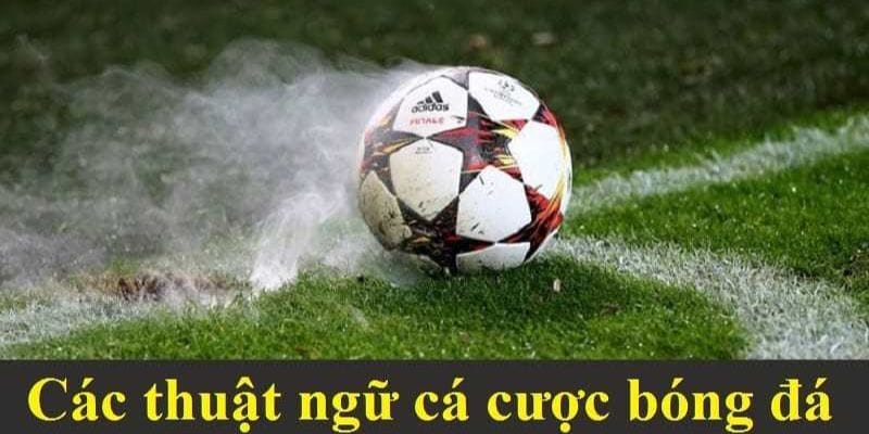 tong-hop-cac-thuat-ngu-ca-ca-cuoc-bong-da